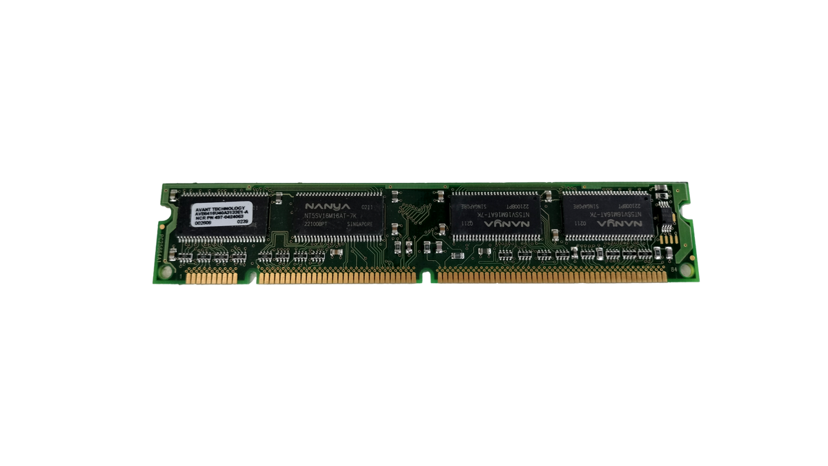 NCR / Avant 256MB PC133 SDRAM 168-Pin DIMM Memory RAM Module (NCR P/N 497-0434063)