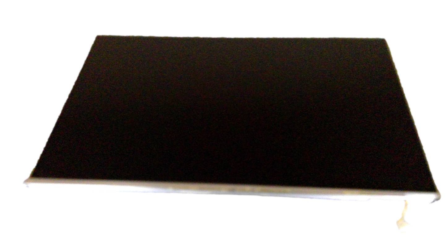 LG PHILIPS LP154W02 (TL)(10) LAPTOP LCD Screen