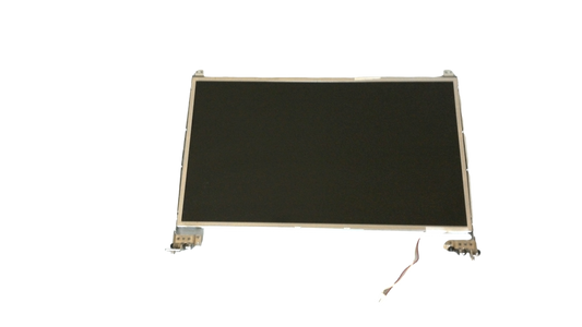 AU Optronics 15.6" Laptop LCD Screen Display B156XW01 V.0 with hinges